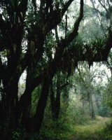 Parque Nacional 