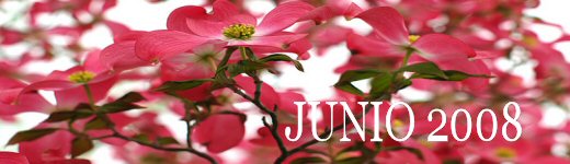 Junio 2008