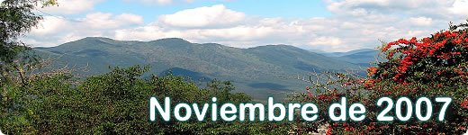Noviembre 2007