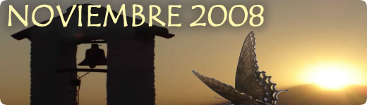Noviembre 2008